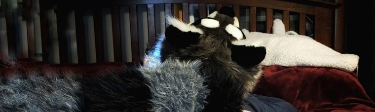 snarkyraccoonx banner image