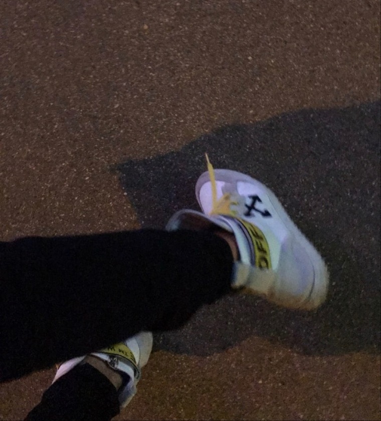 Sneaker Destroying cover image