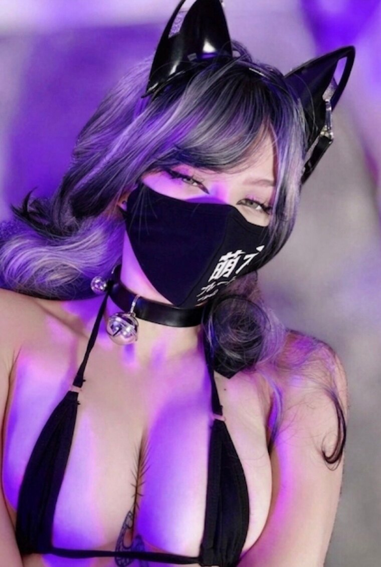 Cookie cover image