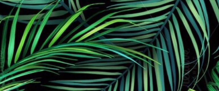 SneekDandA cover image