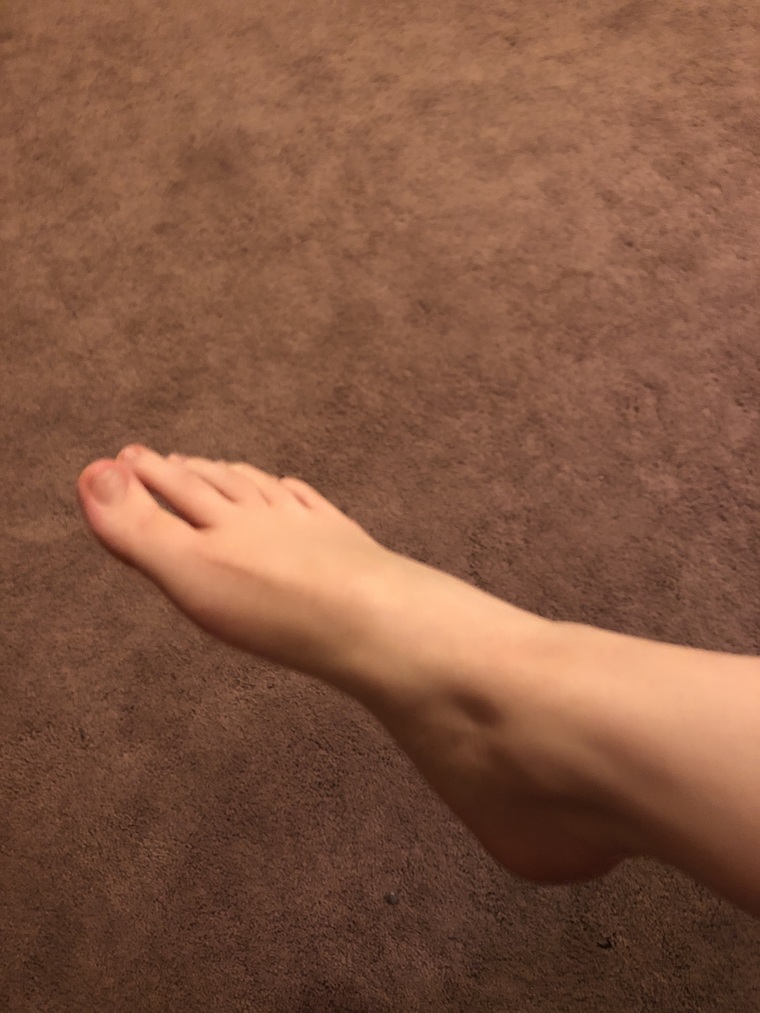 Snickerdoodle banner image