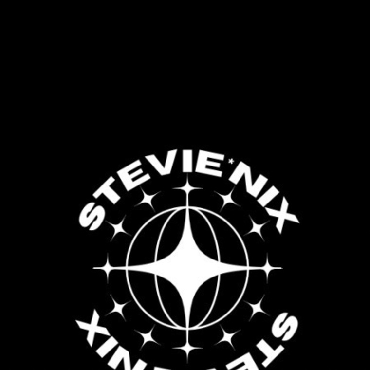 stevie cover image