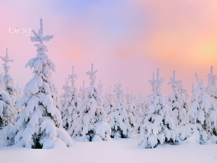 Snow Angel cover image