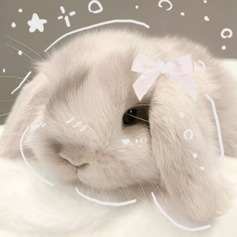 snowbunnieebaby banner image