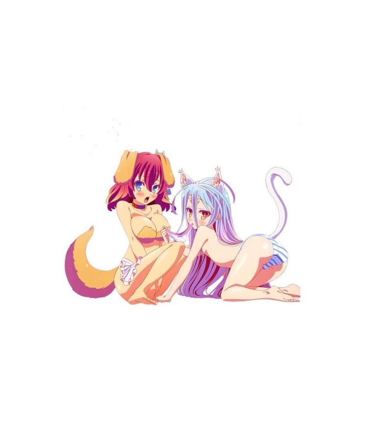 Snow Bunny & Red Fox banner image