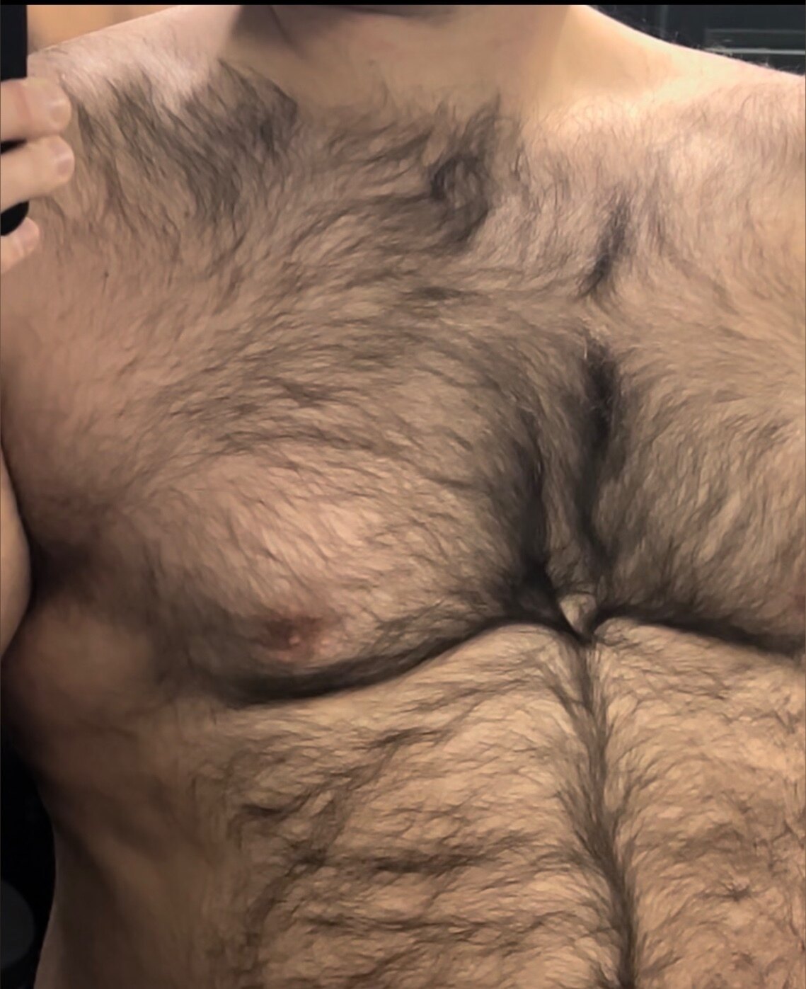 SoCalVersBear banner image