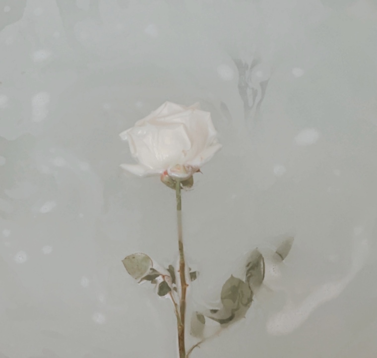 sofia de flores cover image