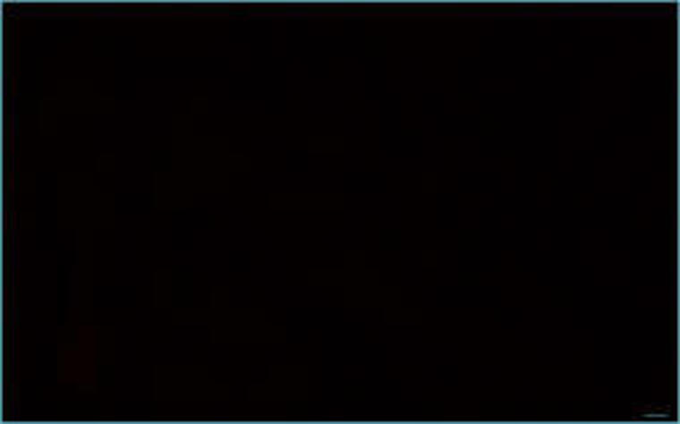 Lucy banner image