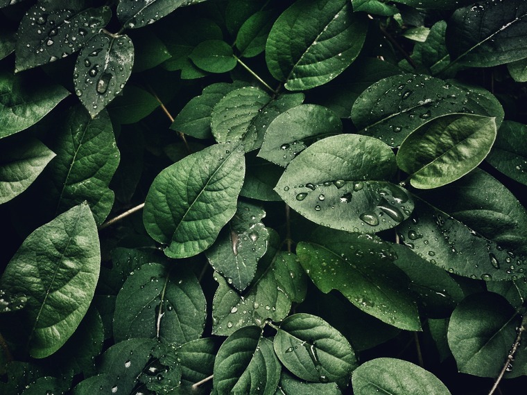 Sofia Lee cover image