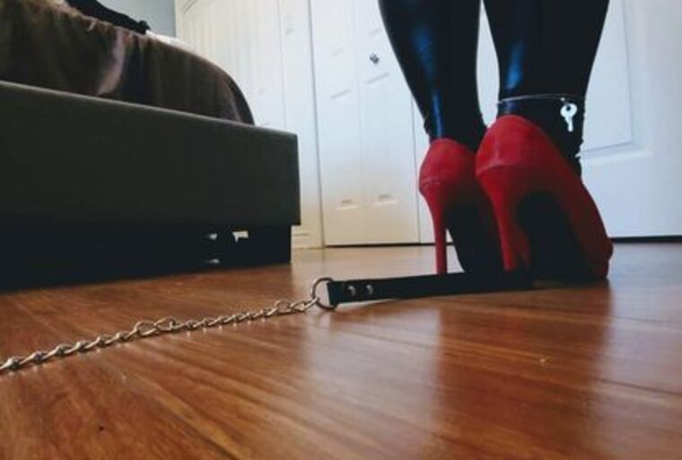 sofia leather banner image