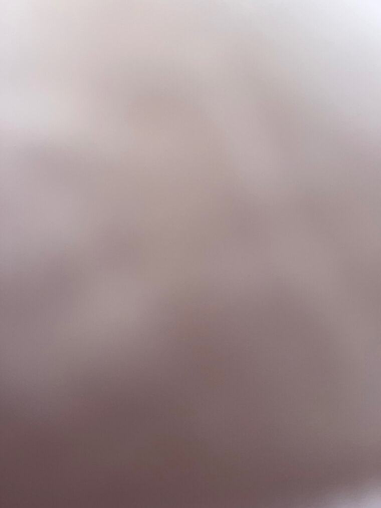 Sofia Rey banner image