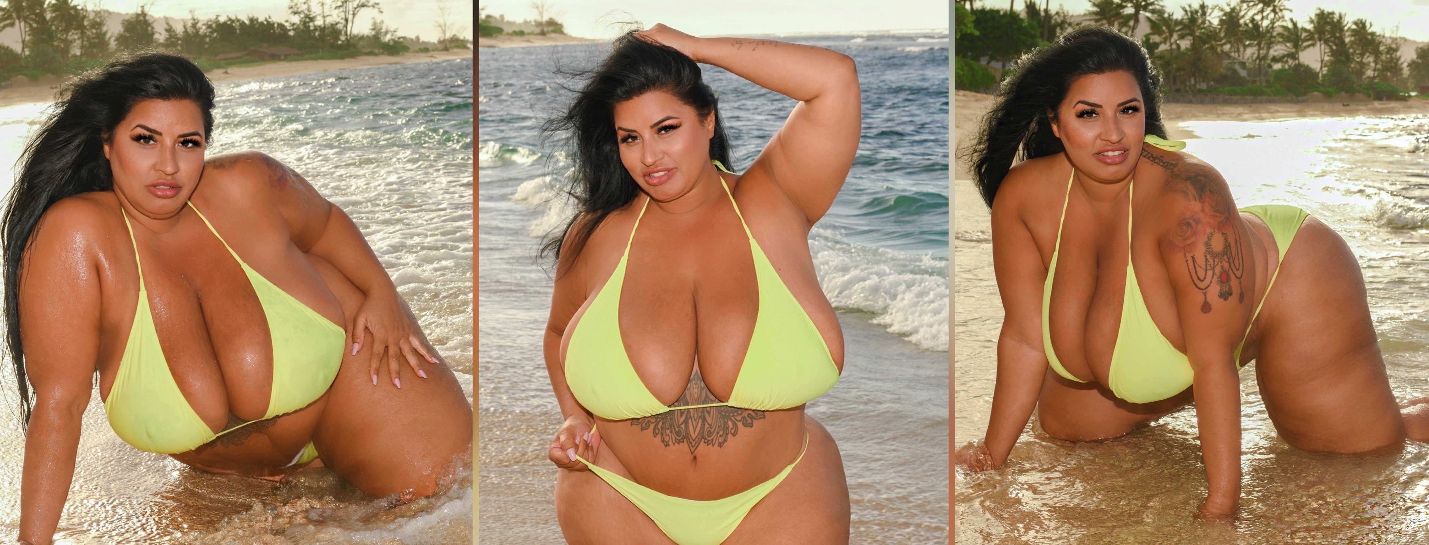 Sofia Rose banner image