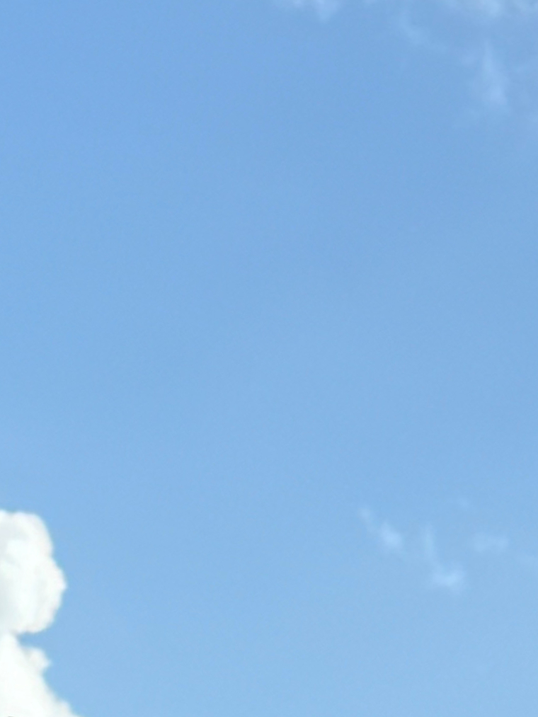 sofiyalex banner image