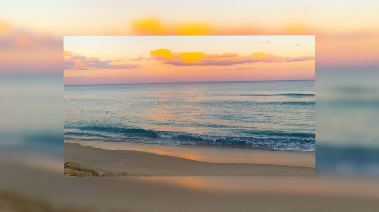 Soft Steps Daily banner image