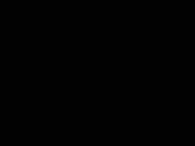 Bella banner image