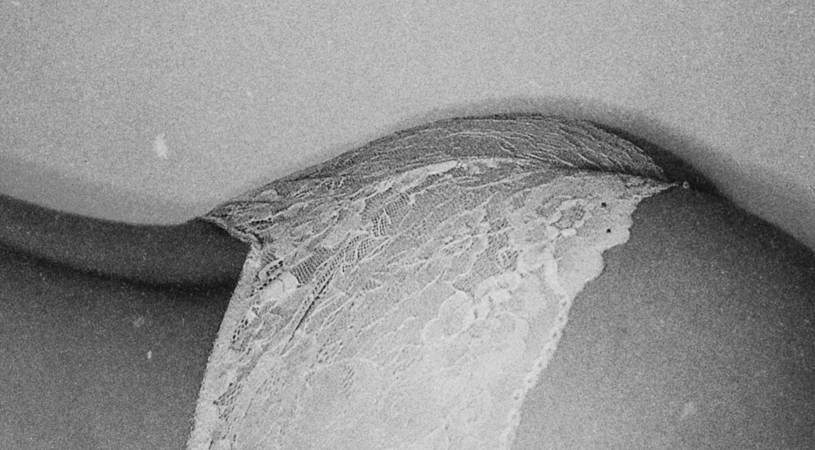 venus banner image