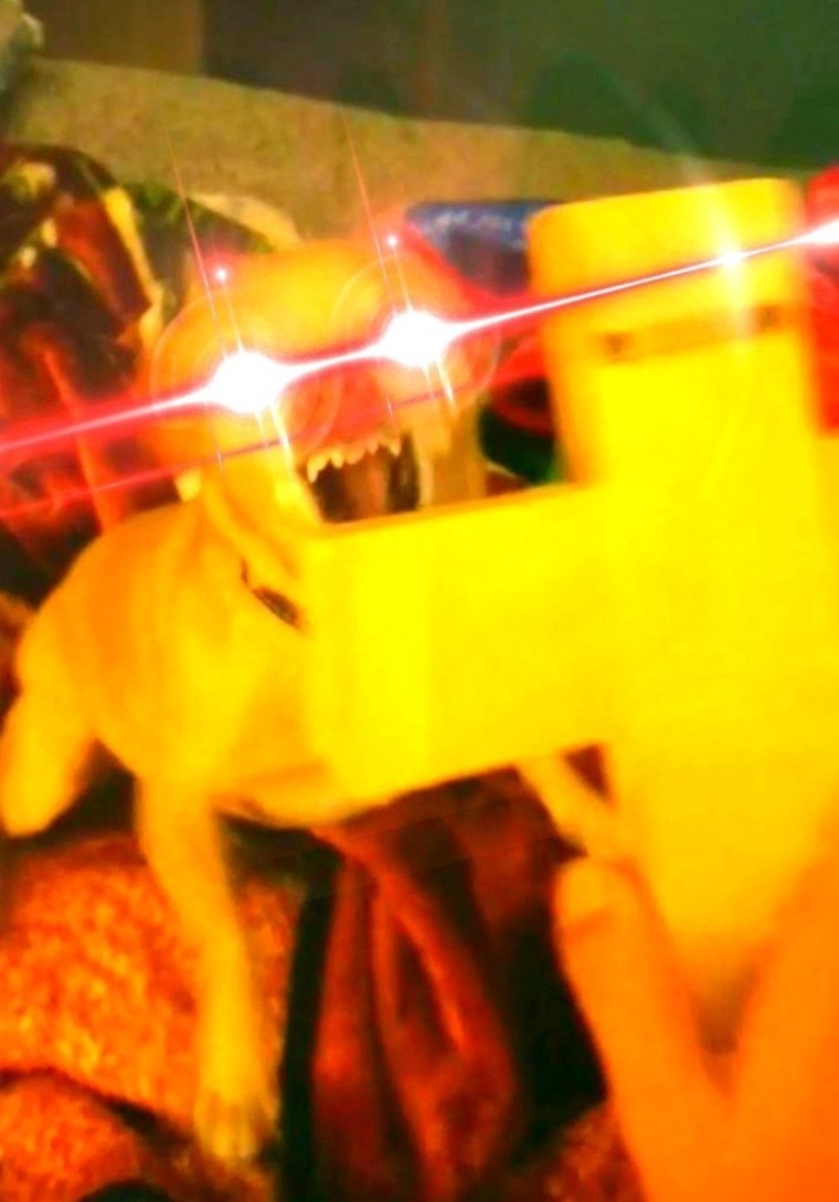 Softestword cover image
