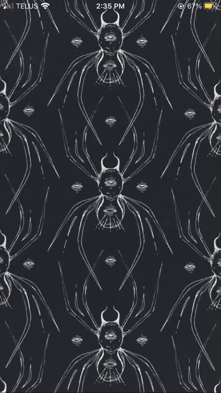 s0ft1ysobb!ng banner image