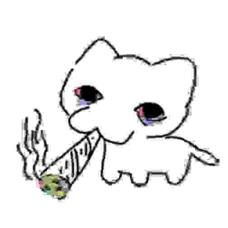 ଘ(ᵕ˵ ૩ᵕ)━☆゚.*・。゚ banner image