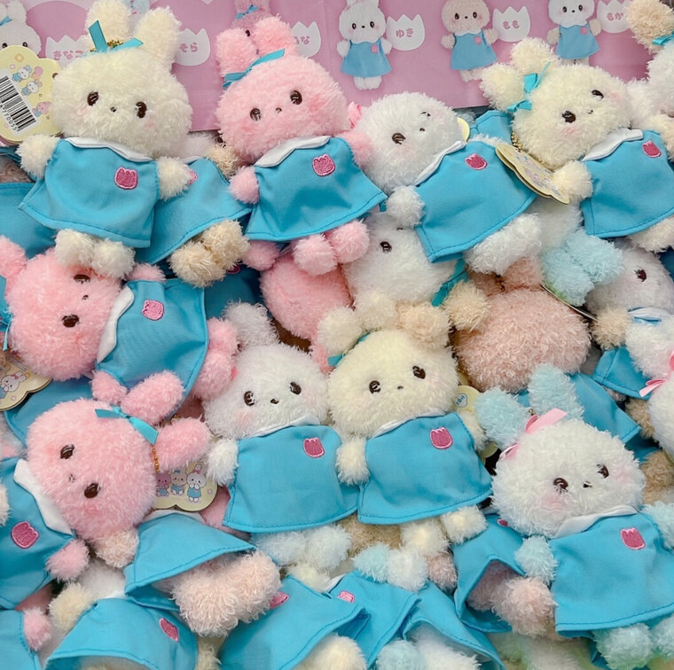 Soft kitten banner image