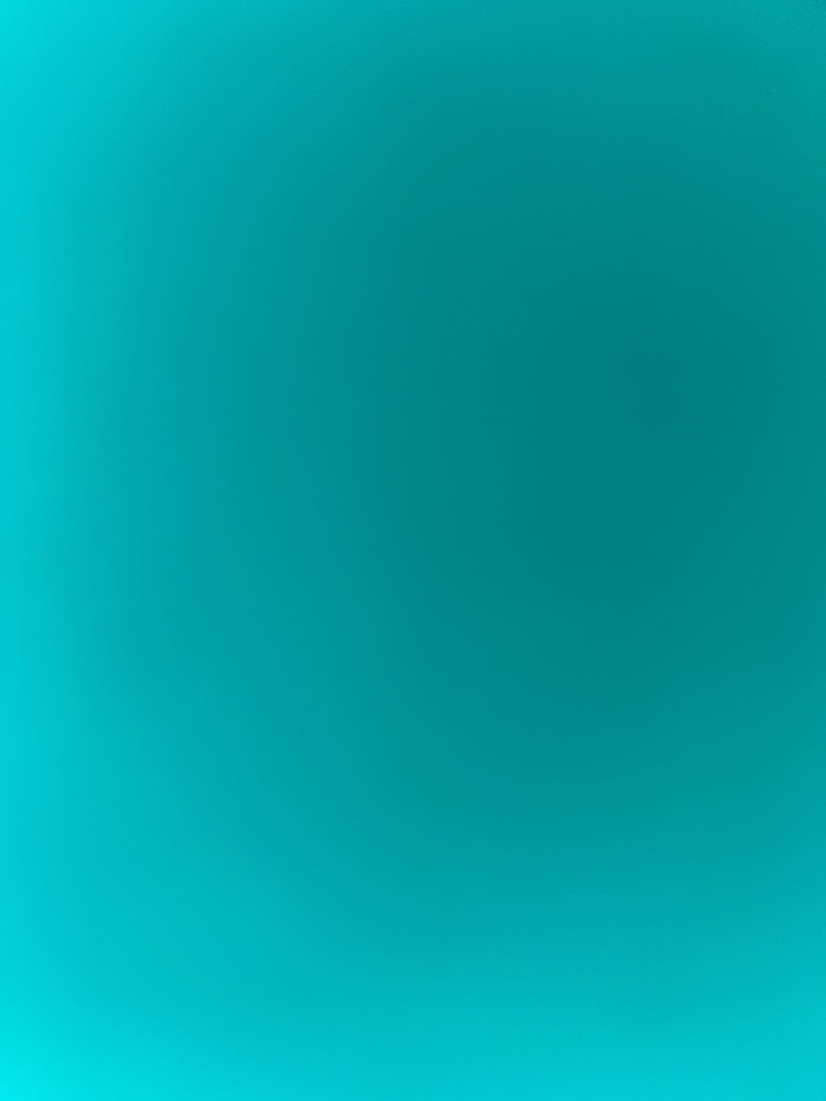 Sofia banner image