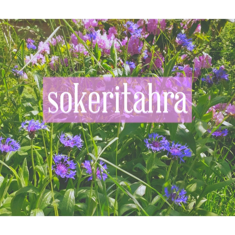 Sokeritahra cover image