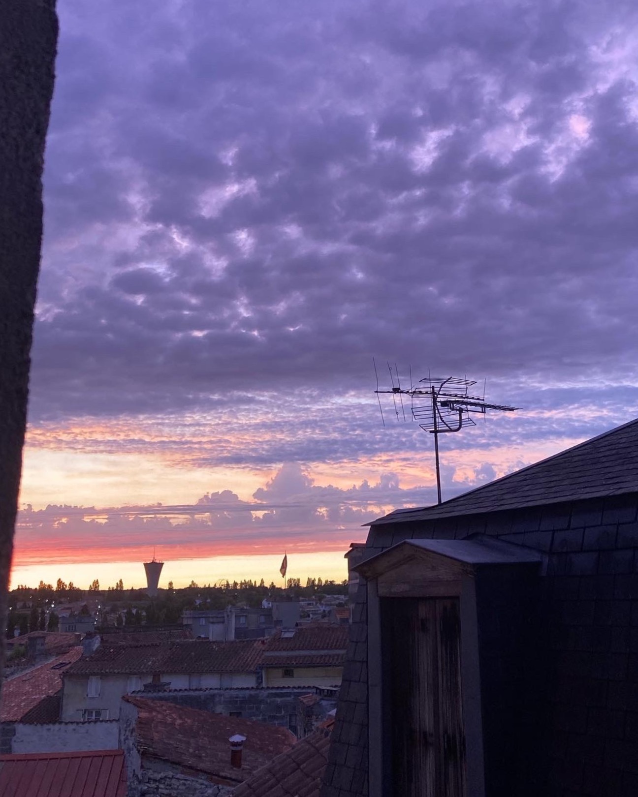 solaarb banner image