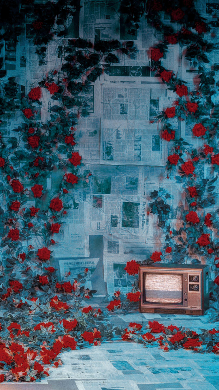 Solar Altamirano cover image