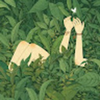 Fern avatar
