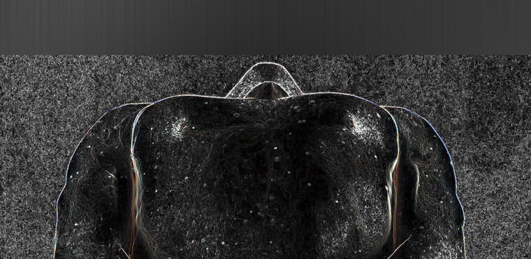 solarsparq cover image