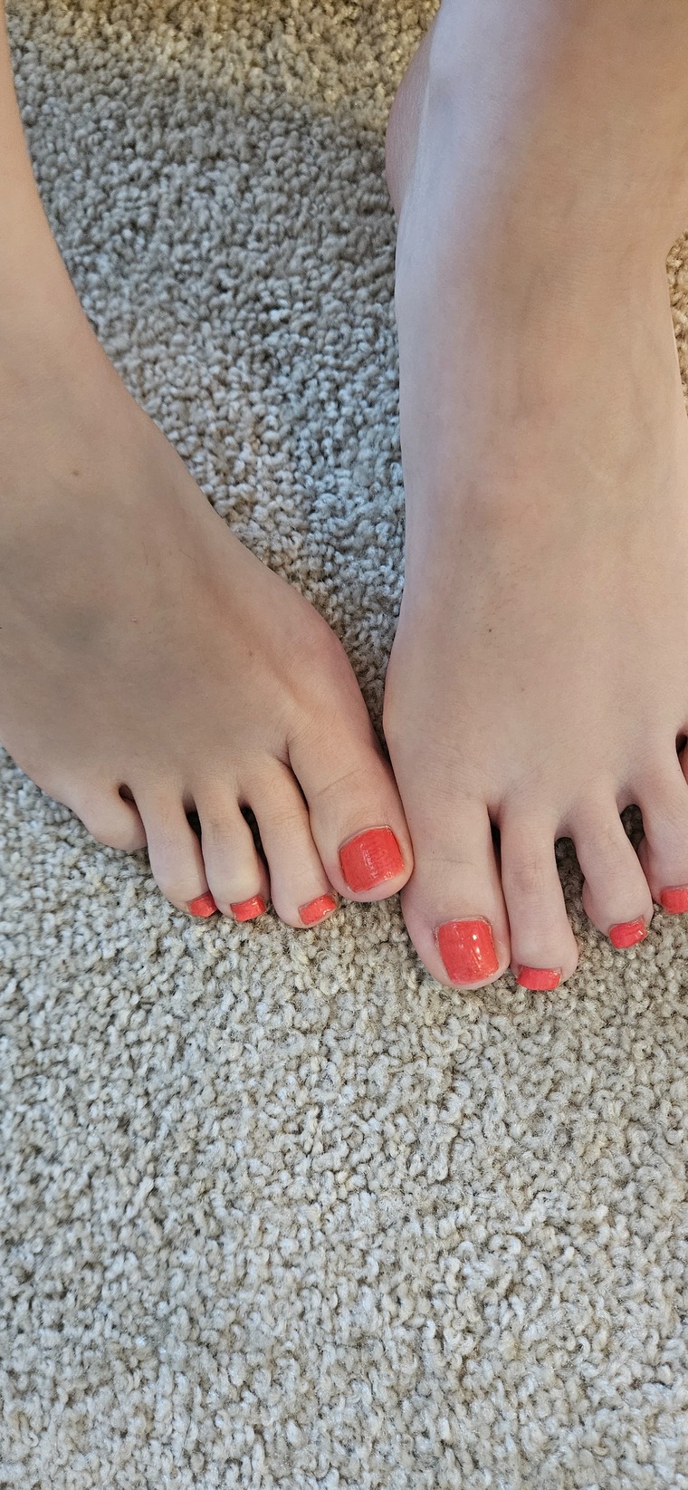 Sole educator cover image