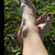 Sol avatar