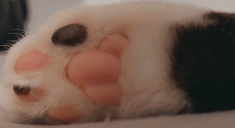 Sole_Mates banner image