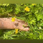 Sole Smitten avatar