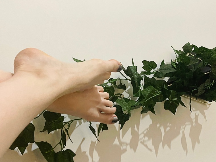 Soles of Sylvia cover image