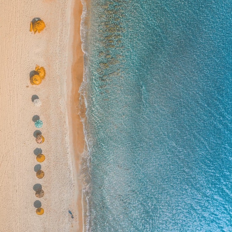 Soles' Paradise banner image