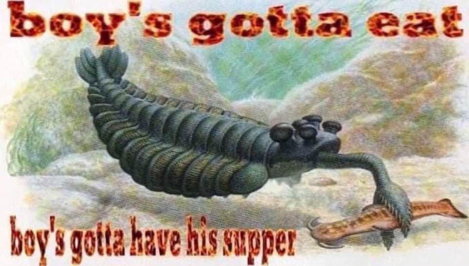 Solobagman banner image