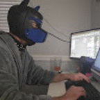 Solo Pup avatar