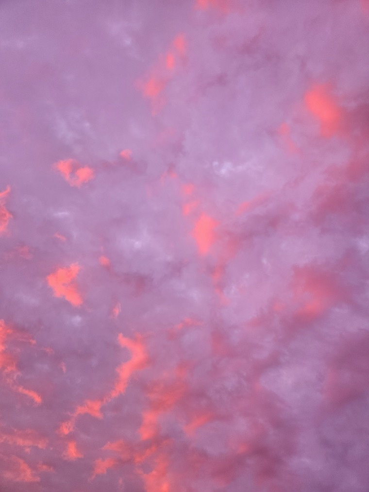 Solveig Tabarnak banner image