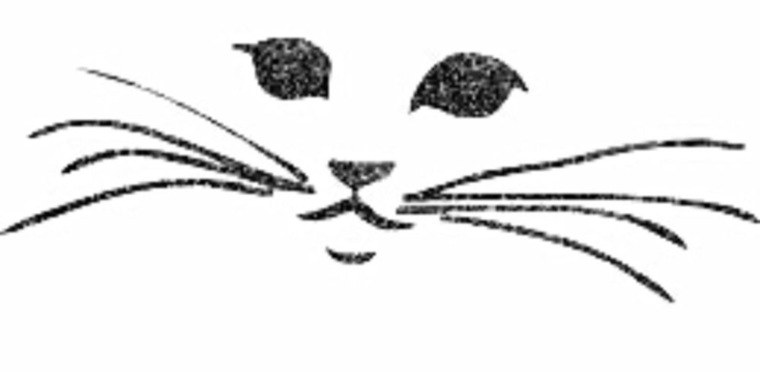 Mew banner image