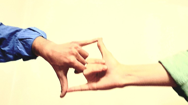 Sophie & Cato banner image
