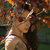 SophieRose avatar