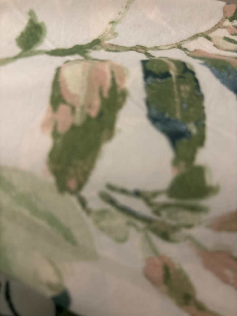 Sophie banner image