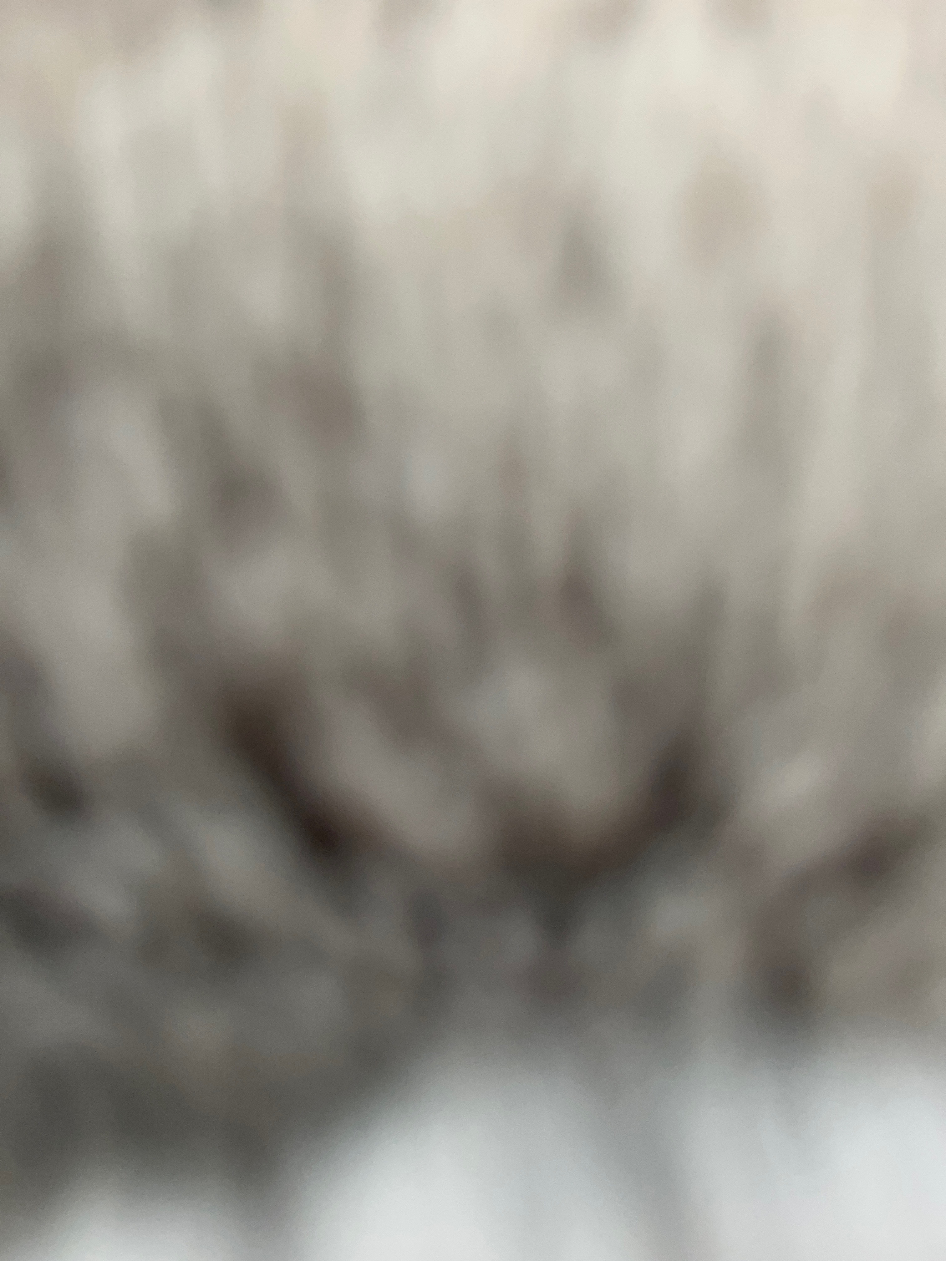 Moiksuuu banner image