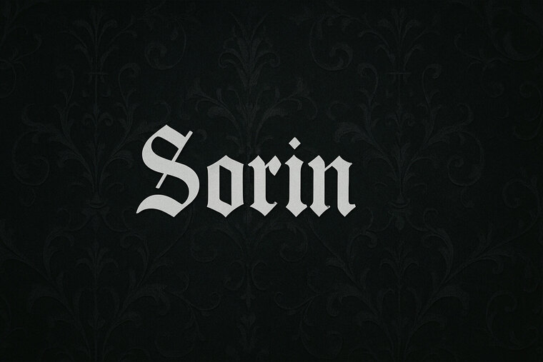 Sorin cover image