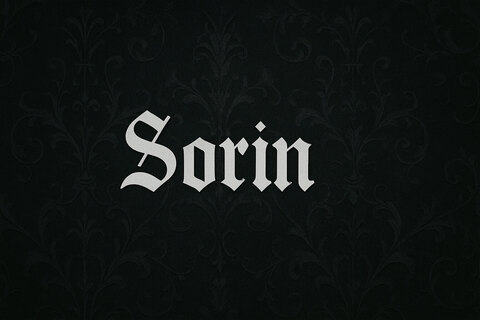 Sorin cover image