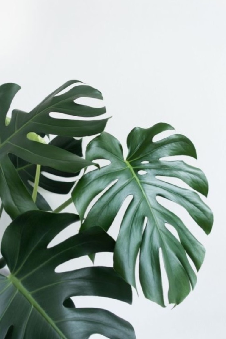 Christiane Souza cover image