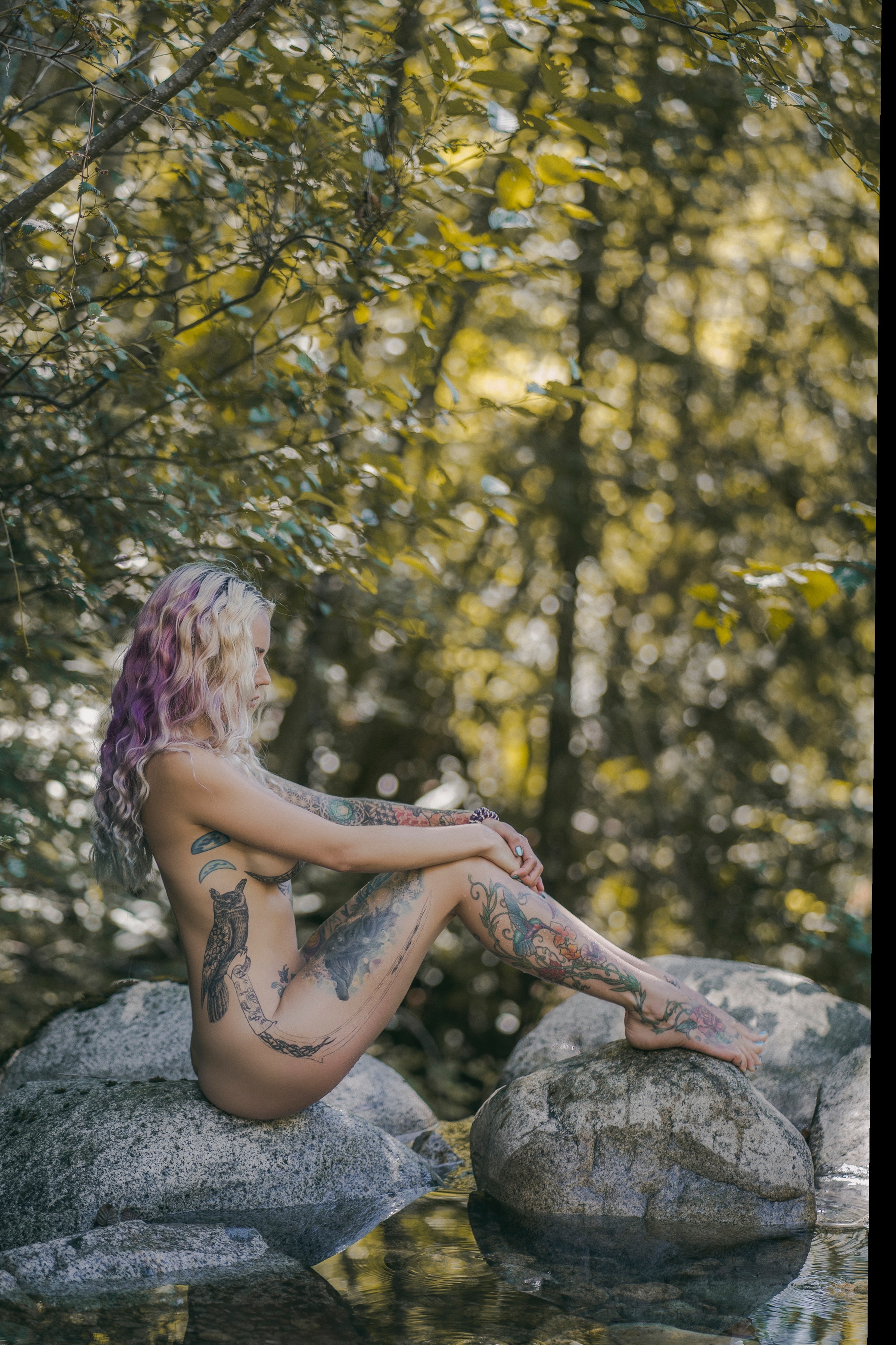 ռǟӄɛɖ ɮʏ ռǟȶʊʀɛ🌲 banner image