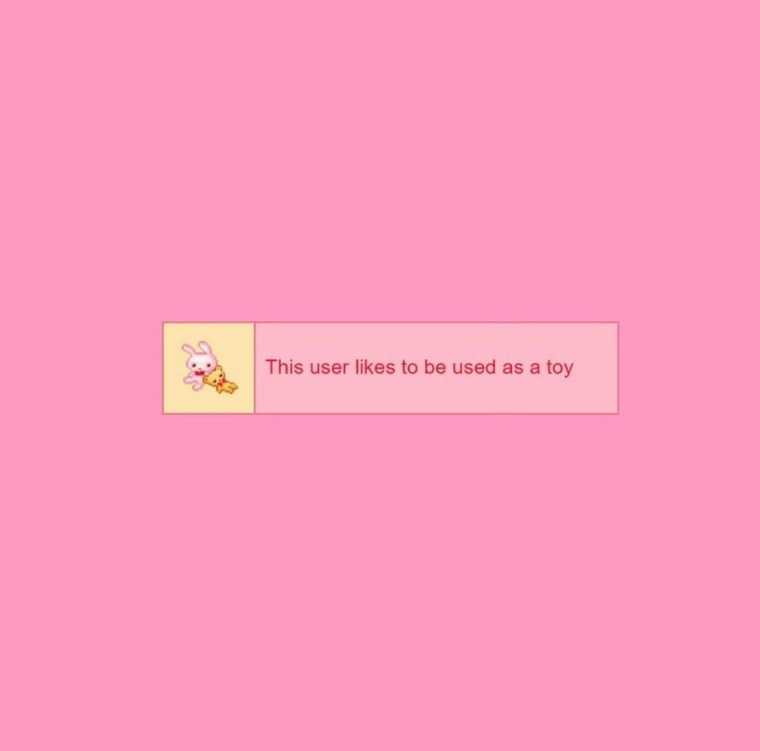 lover of all but mostly cats cover image