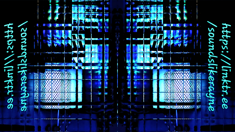 Soundslikerayne's Music Vault cover image
